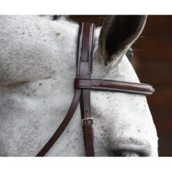 KL Select Italia Middleburg Hunter Bridle -Prestige Store 111101 03 KL Italia Brown Browband