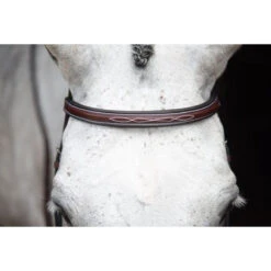 KL Select Italia Middleburg Hunter Bridle -Prestige Store 111101 03 KL Italia Brown Browband.Front
