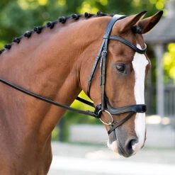 Black Oak Palm Ergonomic Dressage Bridle -Prestige Store 1121 KL.Select Black.Oak Palm.Ergonomic.Bridle Black