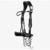 PS Of Sweden Passage Lacquered Double Bridle -Prestige Store 1250 314 PSSweden Passage.Lacquered.Double.Bridle Black