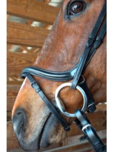 Nunn Finer A Forma Di Shaped Bridle -Prestige Store 2 30964.1524843942.1280.1280