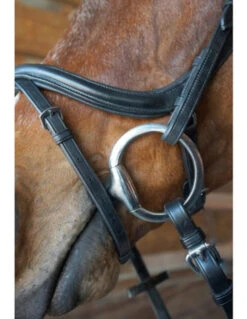 Nunn Finer A Forma Di Shaped Bridle -Prestige Store 3 25542.1524843942.1280.1280