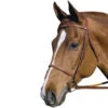 HDR Pro Fancy Raised Bridle With Laced Reins 2 HDR Pro Fancy Raised Bridle With Laced Reins -Prestige Store 5004 01 JPC HDR Pro.Fancy .Raised.Bridle.Laced .Reins