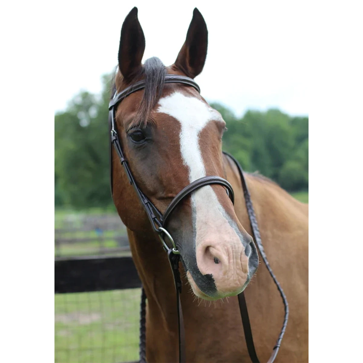 HDR Pro Fancy Raised Bridle With Laced Reins 4 HDR Pro Fancy Raised Bridle With Laced Reins - Image 2