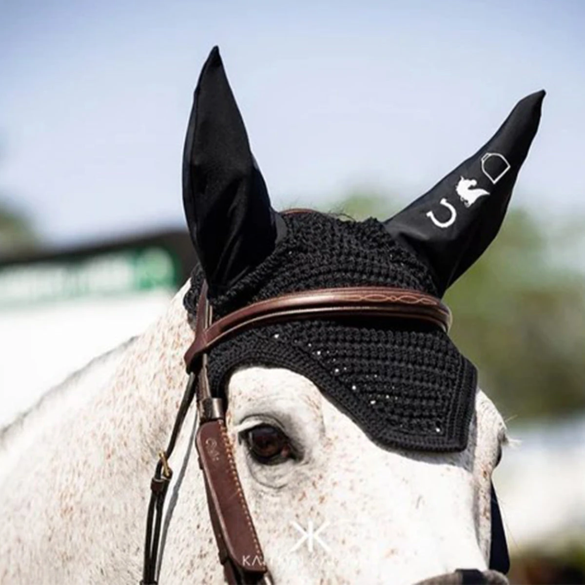 Walsh Leather Blinkers 4 Walsh Leather Blinkers - Image 2