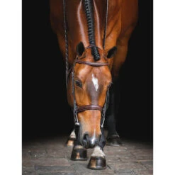 Equiline Scott Stewart Hunter Bridle -Prestige Store BJ150 EQline Scott.Stewart.Hunter.Bridle Brown IRL