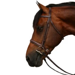 Equiline Scott Stewart Hunter Bridle -Prestige Store BJ150 EQline Scott.Stewart.Hunter.Bridle Brown Side