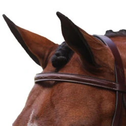 Equiline Scott Stewart Hunter Bridle -Prestige Store BJ150 EQline Scott.Stewart.Hunter.Bridle Brown Top