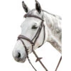 Prestige 3E141 Bridle With Stitching -Prestige Store E141 99592.1590601918.1280.1280