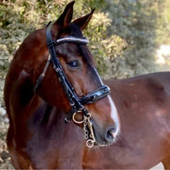 Halter Ego Celebrity Double Bridle -Prestige Store Halter.Ego Celebrity.Double.Bridle 2