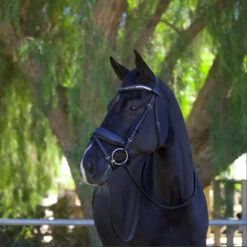 Prestige Store -Prestige Store Halter.Ego Doc.Marten.Snaffle.Bridle Black 3