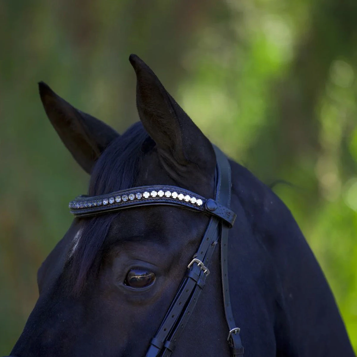 Halter Ego Doc Marten Snaffle Bridle 5 Halter Ego Doc Marten Snaffle Bridle - Image 4