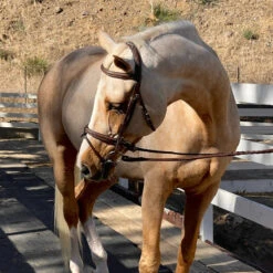 Halter Ego Halifax Hunter Bridle 9 Halter Ego Halifax Hunter Bridle -Prestige Store Halter.Ego Halifax.Hunter.Bridle 2