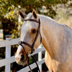 Halter Ego Halifax Hunter Bridle