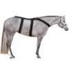 Ice Horse Back Blanket -Prestige Store IH8000V MacKinnon IH.Back .Blanket