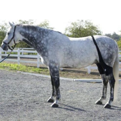 Ice Horse Stifle Wrap -Prestige Store IHF9000V MacKinnon Hock.Wraps2