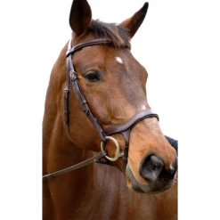 Nunn Finer Innovativo Shaped Bridle