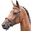 Jump'in Thursday Bridle - Week Collection