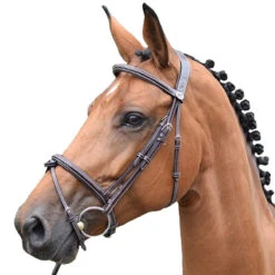Jump'in Thursday Bridle - Week Collection