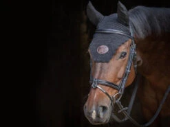 Jump'in Tuesday Bridle - Week Collection -Prestige Store Jump.In Tuesday.Bridle