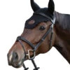 Jump'in Tuesday Bridle - Week Collection -Prestige Store Jump.In Tuesday.Bridle.2