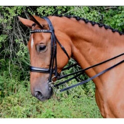 Red Barn By KL Select Cadence Weymouth Dressage Bridle -Prestige Store KL.Select Cadence.Weymouth