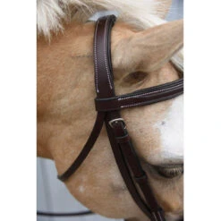 Red Barn By KL Select Icon Hunter Bridle -Prestige Store KL.Select Icon.Bridle Detail