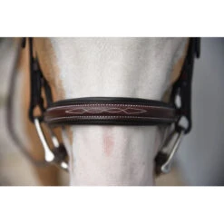 Red Barn By KL Select Icon Hunter Bridle -Prestige Store KL.Select Icon.Bridle Detail.2