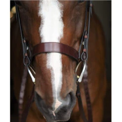 Black Oak By KL Select Foxtrot Hunt Bridle -Prestige Store KL 1118 FoxtrotHunter2