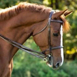 KL Red Barn Fancy Stitch Plain Reins 1/2"