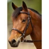 Nunn Finer Event Bridle 2 Nunn Finer Event Bridle -Prestige Store NFEB 2T