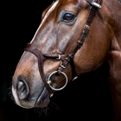 PS Of Sweden Nirak Bridle -Prestige Store PS Nirak Brn2