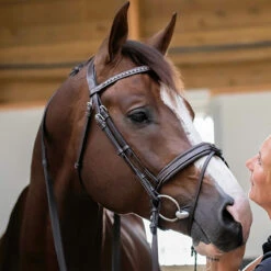 Penelope Daily Bridle -Prestige Store Pen Daily 1