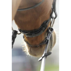 Penelope Point Sellier Bridle -Prestige Store Pen Sellier 4