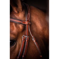 Penelope US Bridle -Prestige Store Pen US 3