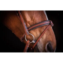 Penelope US Bridle -Prestige Store Pen Us 2