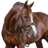 Penelope Daily Bridle -Prestige Store Penelope Daily.Bridle