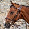 Dyon Difference Flash Bridle - D Collection -Prestige Store Sag DYGXAU 1