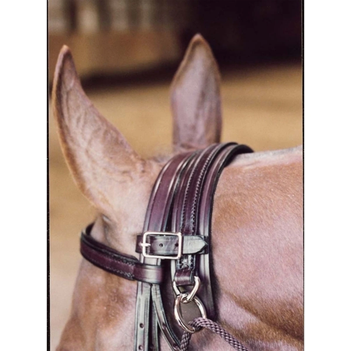 Tory Leather Chambon 4 Tory Leather Chambon - Image 2