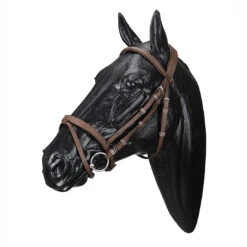 Wintec English Bridle With Flash Noseband -Prestige Store WABRICBRN