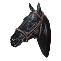 Wintec English Bridle -Prestige Store WABRIDCBRN