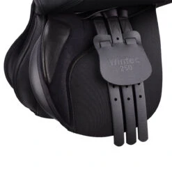 Wintec 250 All Purpose Saddle -Prestige Store W 250 AP GirthingSystem Blk