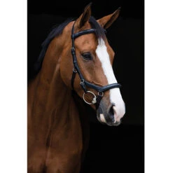 Rambo Micklem Deluxe Competition Bridle -Prestige Store black2 18961.1590614970.1280.1280