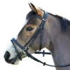 Wintec English Bridle With Flash Noseband -Prestige Store black3 94565.1586445749.1280.1280