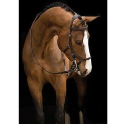 Rambo Micklem Deluxe Competition Bridle -Prestige Store black5 52741.1590614971.1280.1280