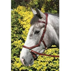 Horseware Rambo Micklem Multibridle -Prestige Store bridle10 cf44038a 6c56 4d81 9380 7b1cf4d1ed34