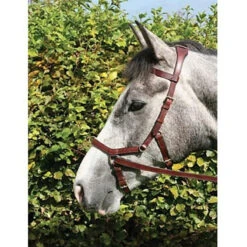 Horseware Rambo Micklem Multibridle -Prestige Store bridle11