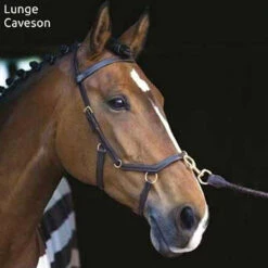 Horseware Rambo Micklem Multibridle -Prestige Store bridle16