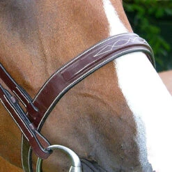 Dy'on Fancy Stitch Wide Noseband Bridle -Prestige Store bridle2 1e4663ab 884f 4b7d 80a6 469c5399f8c7