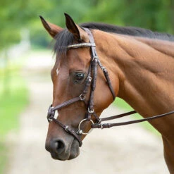 Nunn Finer Figure Eight Bridle -Prestige Store bridle2 a172477a dc08 4a72 850b f22c06c5eb83
